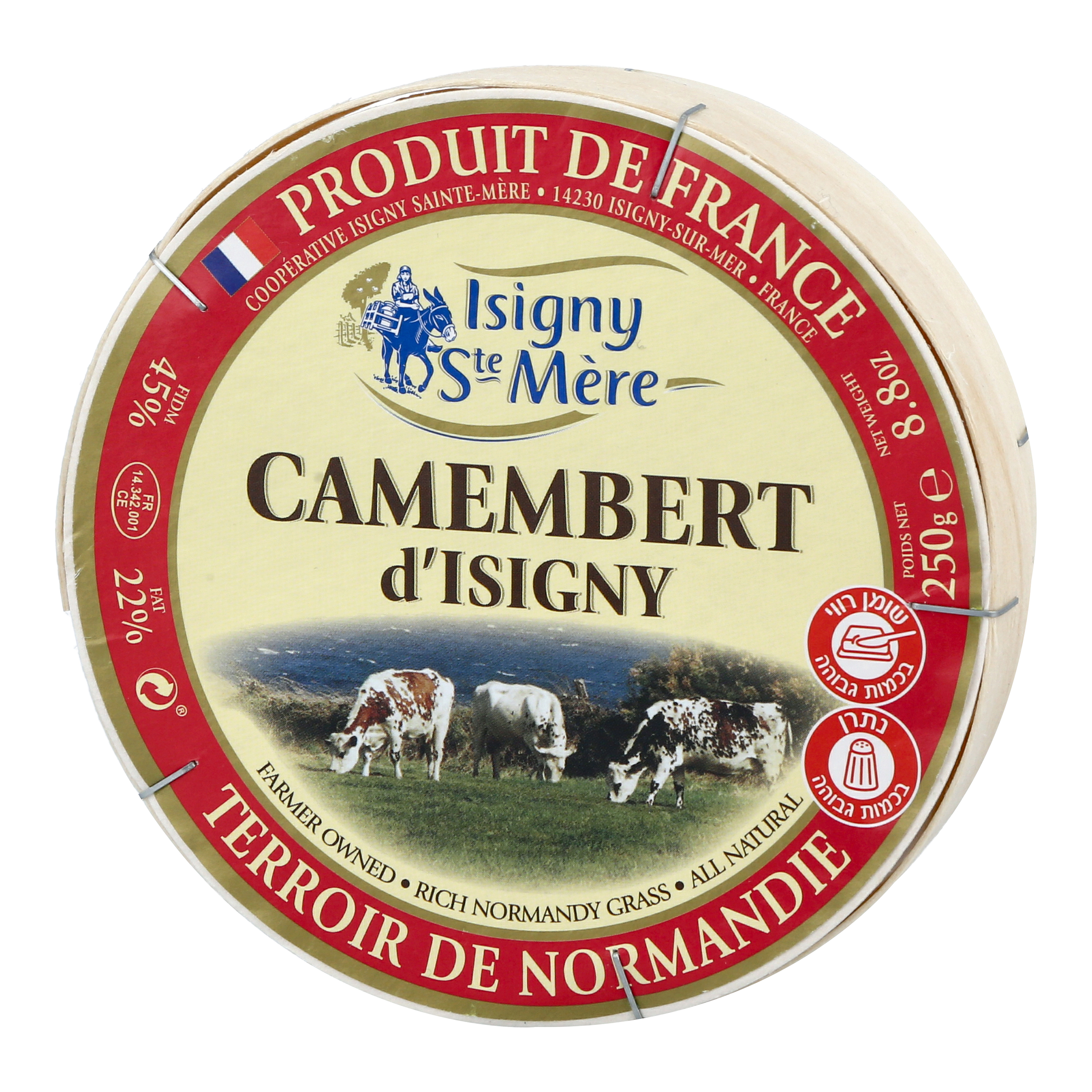 גבינת קממבר צרפתית